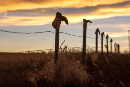 Montana still has some real cowboys. The Big Sky Country is home to many cattle ranchers making a living on their beloved land. Cowboy boots in Montana, USA
